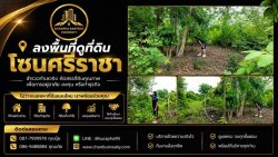 ลงพื้นที่ดูที่ดินโซนศรีราชา กำลังมองหาที่ดินเพื่ออยู่อาศัย ลงทุน หรือทำธุรกิจ ชลบุรี ศรีราชา บางแสน พัทยา