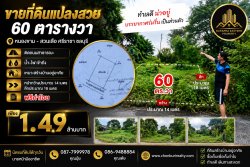 ที่ดินแปลงสวย ทำเลดี ศรีราชา พร้อมสร้างบ้านได้เลย ตำบลหนองขาม อำเภอศรีราชา จังหวัดชลบุรี (โซนสวนเสือ)