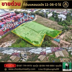 ขายที่ดินแหลมฉบัง สร้างโรงงาน โกดัง ลานตู้ ห่างท่าเรือเพียง 15 นาที ที่ดิน 11-36-0 ไร่ ขายเพียง 35 ล้านเท่านั้น ฟรีโอน 087-7999978 คุณปุ๋ย 086-9488884 คุณเต้ย
