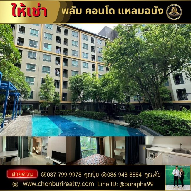 ให้เช่า พลัมคอนโดแหลมฉบัง ชั้น 1 วิวสระว่ายน้ำ ใกล้ท่าเรือแหลมฉบัง ทำงานแหลมฉบังหาเช่าคอนโด 087-7999978 คุณปุ๋ย 086-9488884 คุณเต้ย ให้เช่า พลัมคอนโดแหลมฉบัง ชั้น 1 วิวสระว่ายน้ำ ใกล้ท่าเรือแหลมฉบัง ทำงานแหลมฉบังหาเช่าคอนโด 087-7999978 คุณปุ๋ย 086-9488884 คุณเต้ย